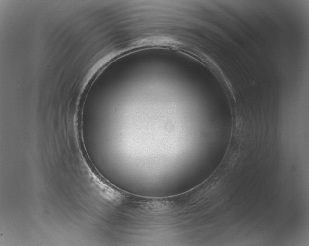 X0000077310947200610201150