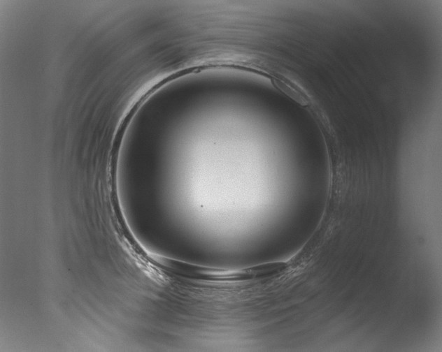 X0000077310948200610201150