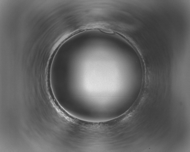 X0000077310949200610201150