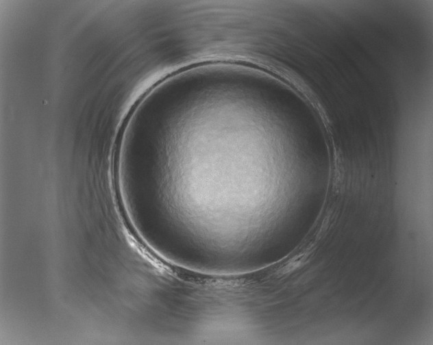 X0000077310958200610201150