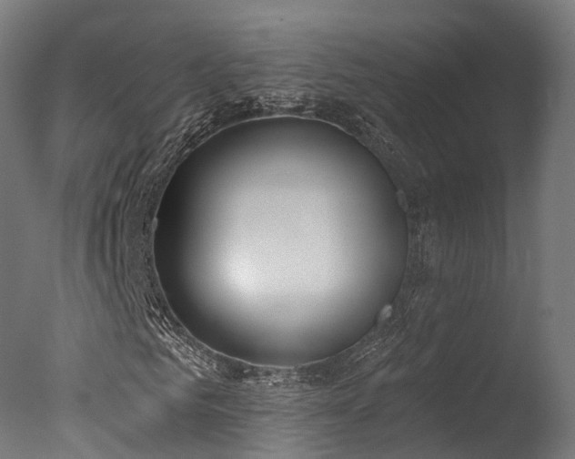 X0000077310961200610201149