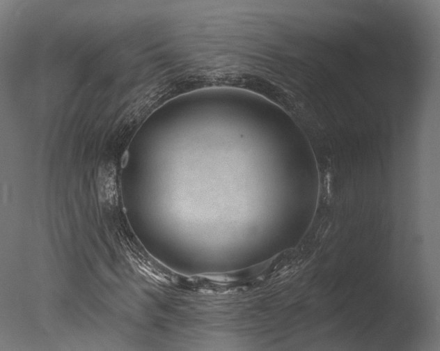 X0000077310963200610201149