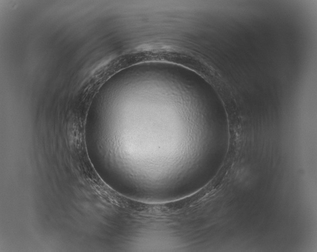 X0000077310966200610201149