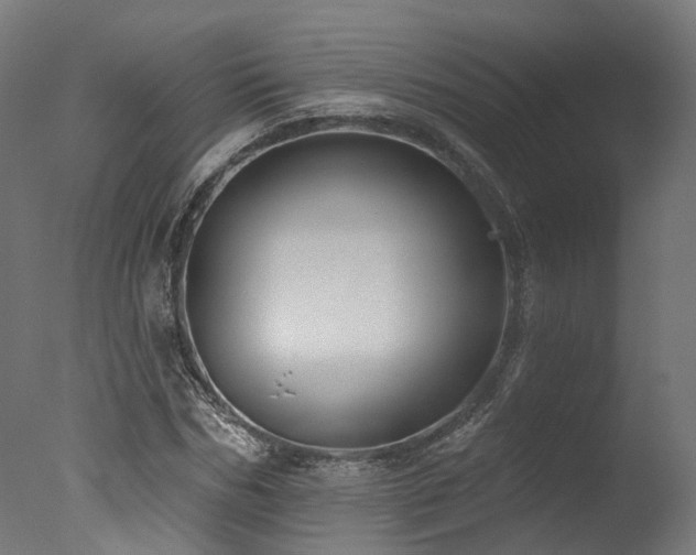 X0000077310970200610201149