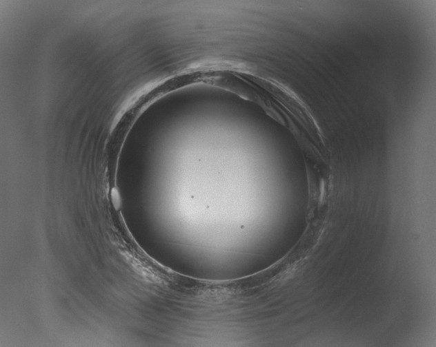 X0000077310973200610201149