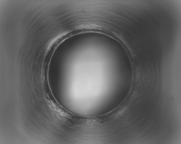 X0000077310979200610201149