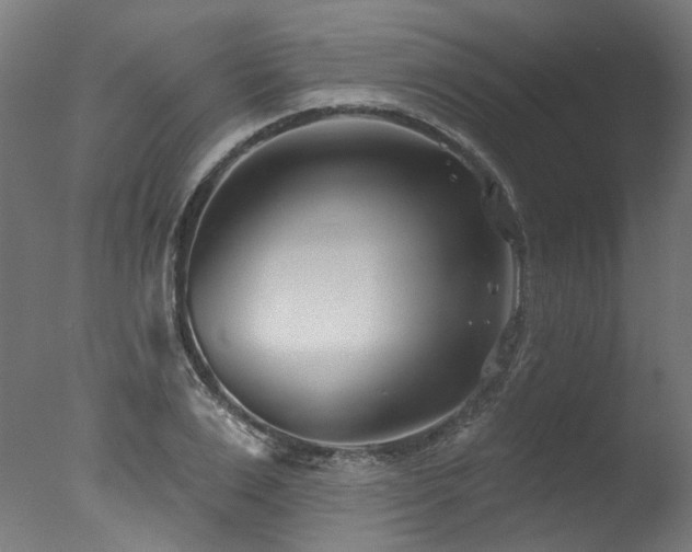 X0000077310983200610201149