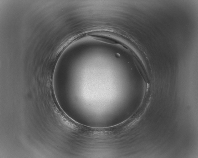 X0000077310985200610201149