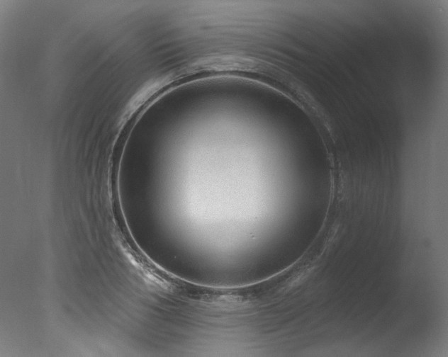 X0000077310986200610201149