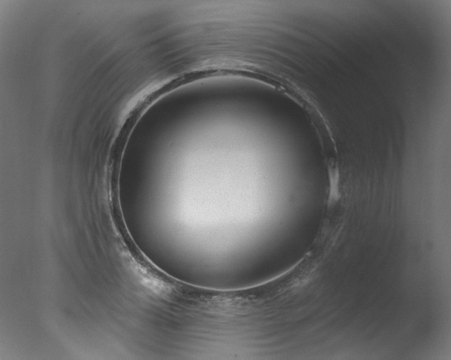 X0000077310987200610201148