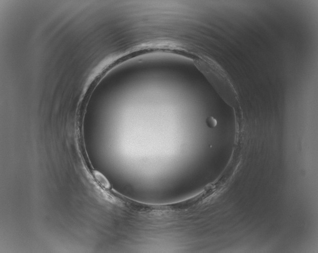 X0000077310989200610201148