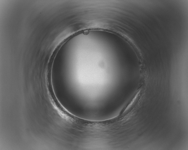 X0000077310991200610201148