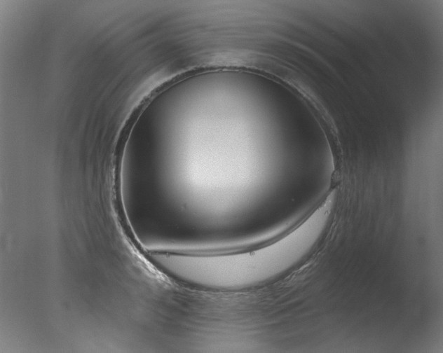 X0000077310992200610201148