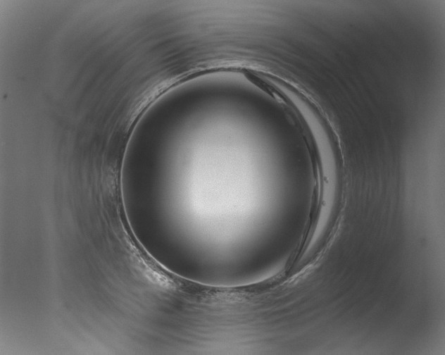 X0000077310993200610201148