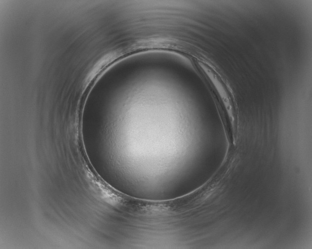 X0000077310994200610201148