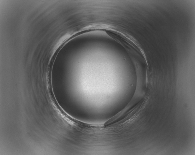 X0000077310997200610201148