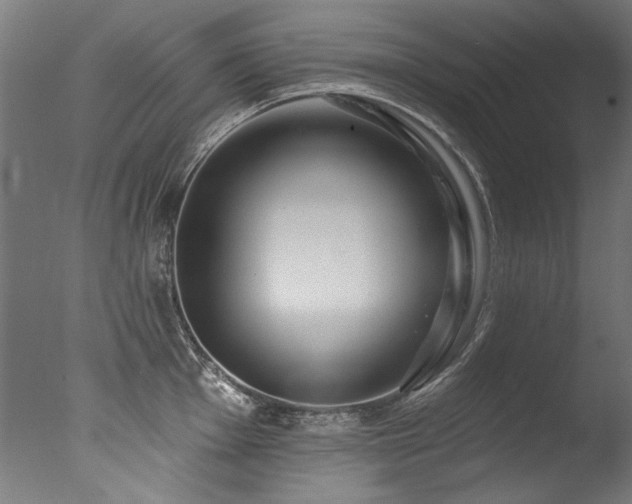 X0000077311001200610201148