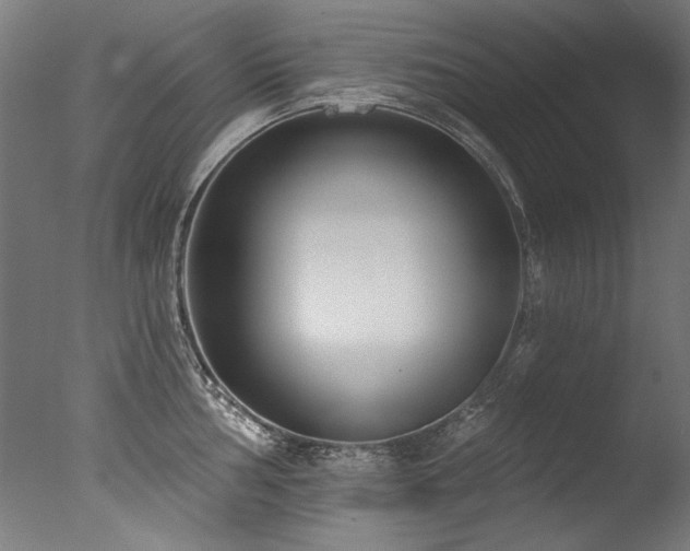 X0000077311002200610201148