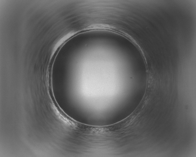 X0000077311003200610201148