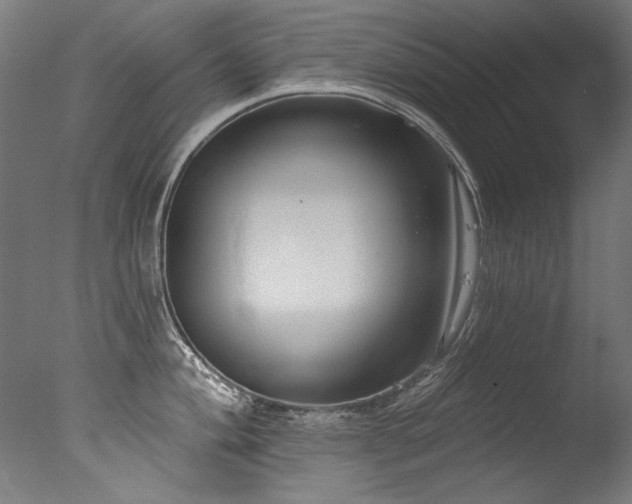 X0000077311004200610201148