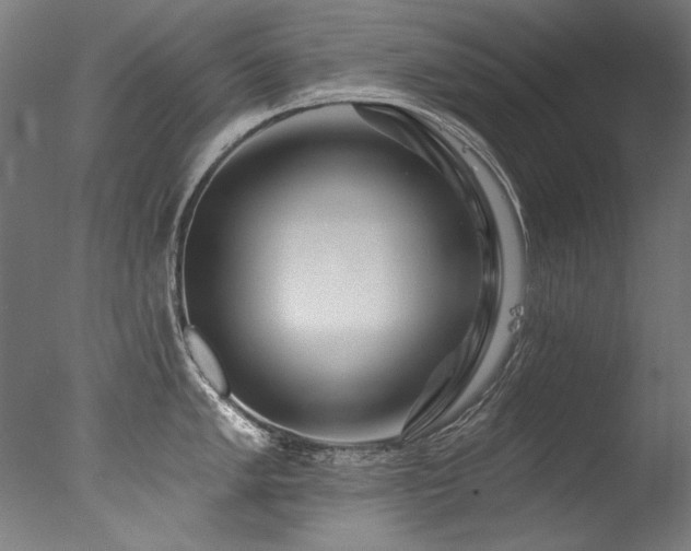 X0000077311005200610201148