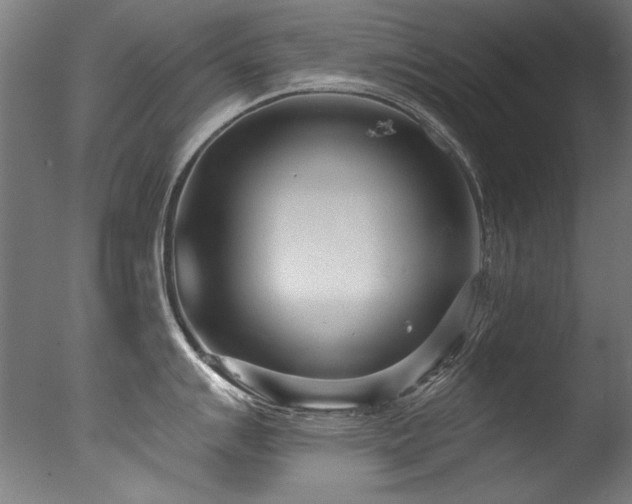 X0000077311007200610201148