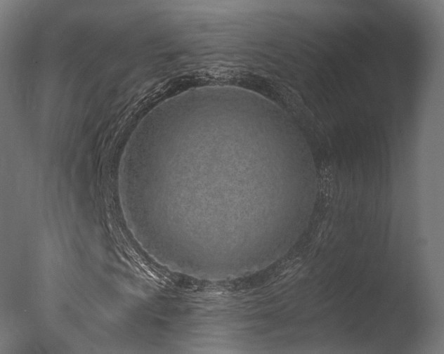 X0000077311009200610201147