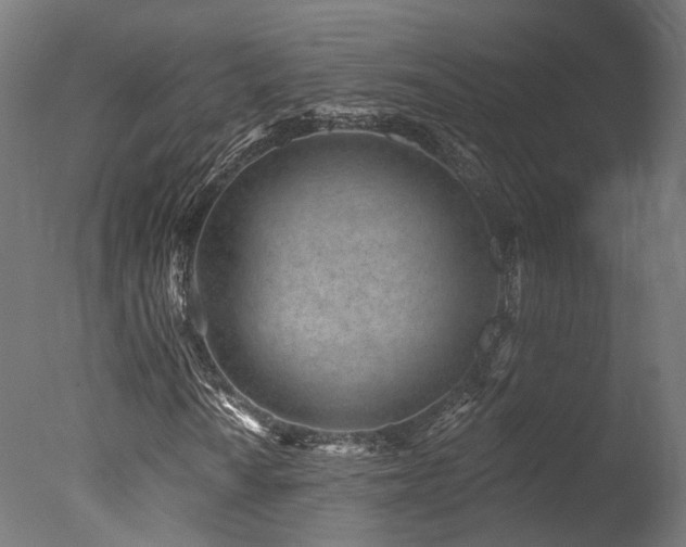 X0000077311010200610201147