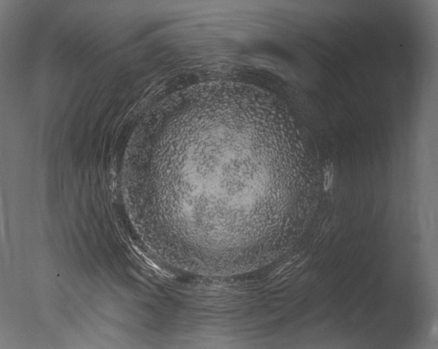 X0000077311011200610201147