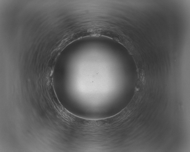 X0000077311012200610201147