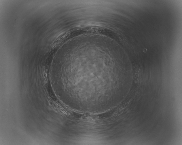 X0000077311013200610201147