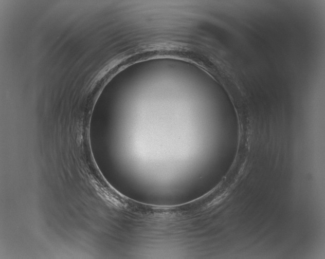 X0000077311017200610201147