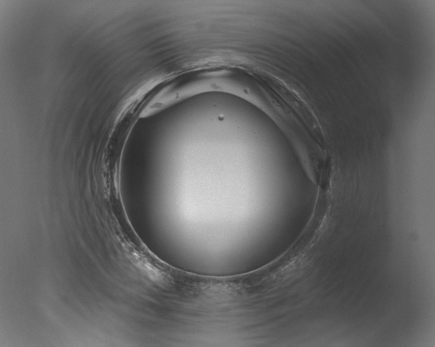 X0000077311018200610201147