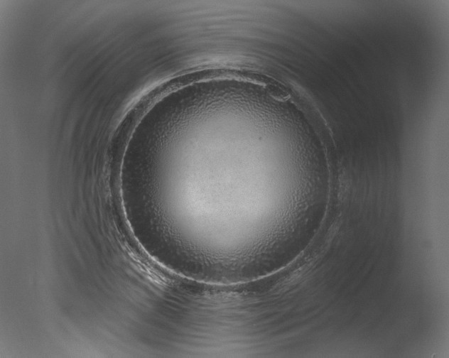 X0000077311019200610201147