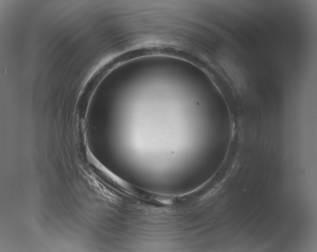 X0000077311021200610201148