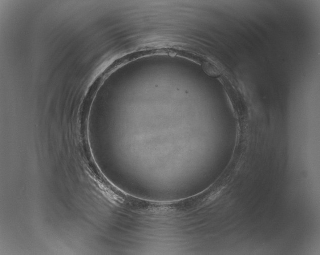 X0000077311023200610201148