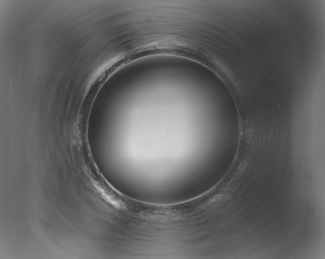 X0000077311026200610201148