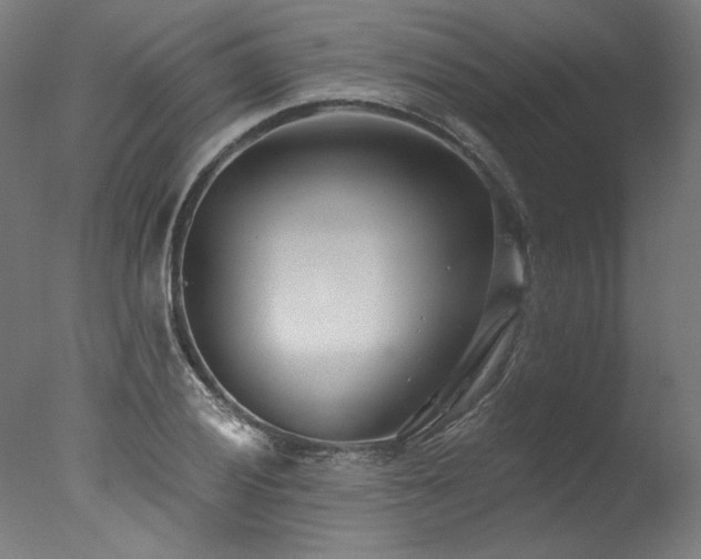 X0000077311028200610201148