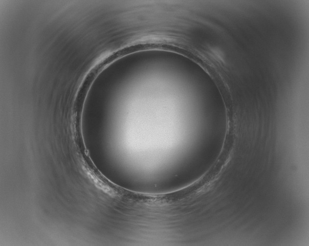 X0000077311029200610201148