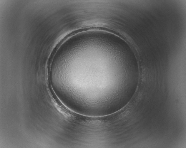 X0000077311031200610201148
