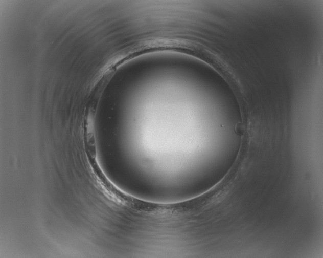X0000077311033200610201148