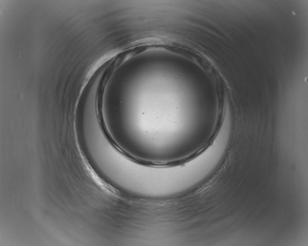 X0000077311034200610201148