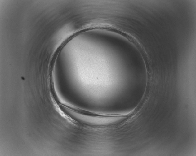 X0000077311038200610201148