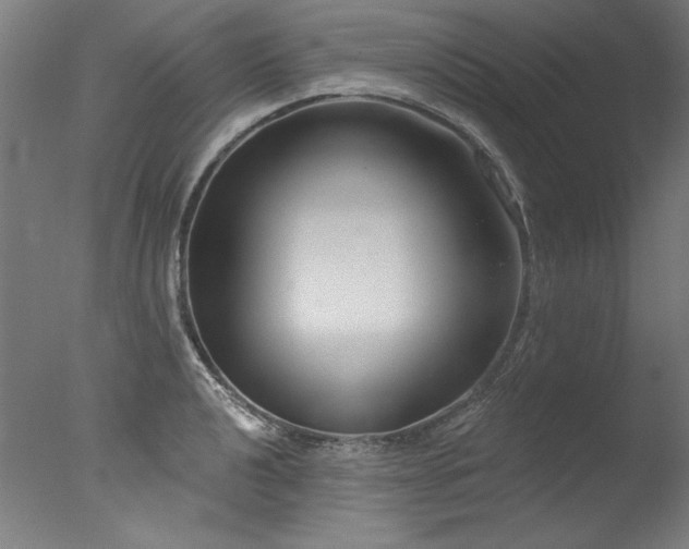 X0000077311040200610201148