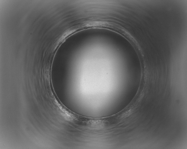 X0000077311041200610201148