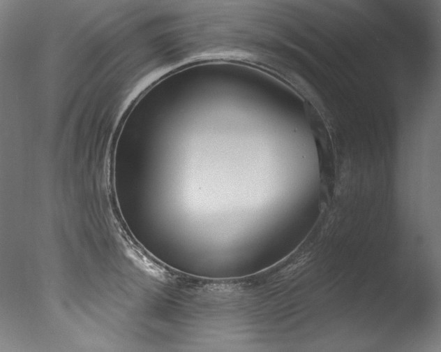 X0000077311044200610201148
