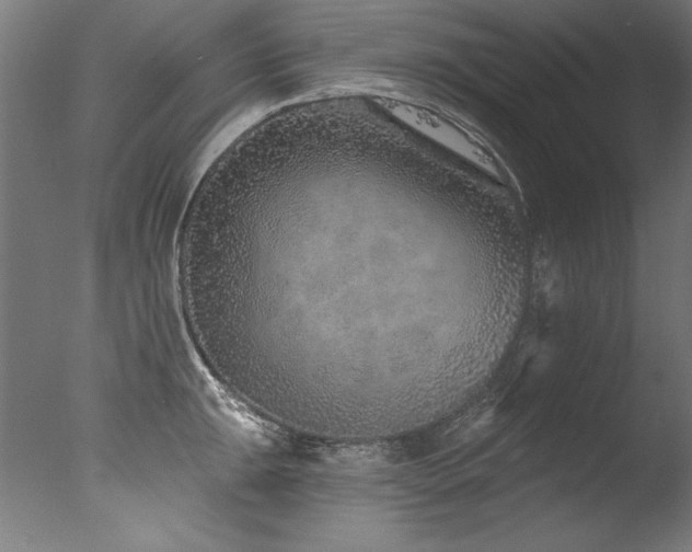 X0000077311047200610201148