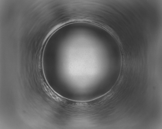 X0000077311052200610201148