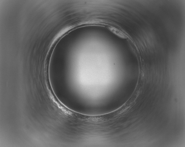 X0000077311053200610201148