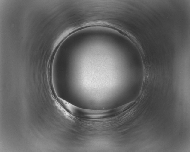 X0000077311054200610201148